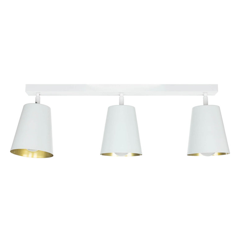 Fairmont Park Bunkerville Ceiling Spotlight Wayfair.co.uk